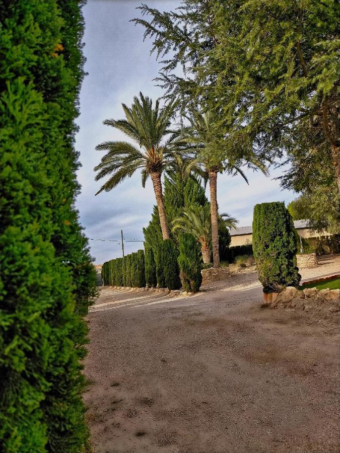 Casa Rural Las Palmeras Тобарра Экстерьер фото